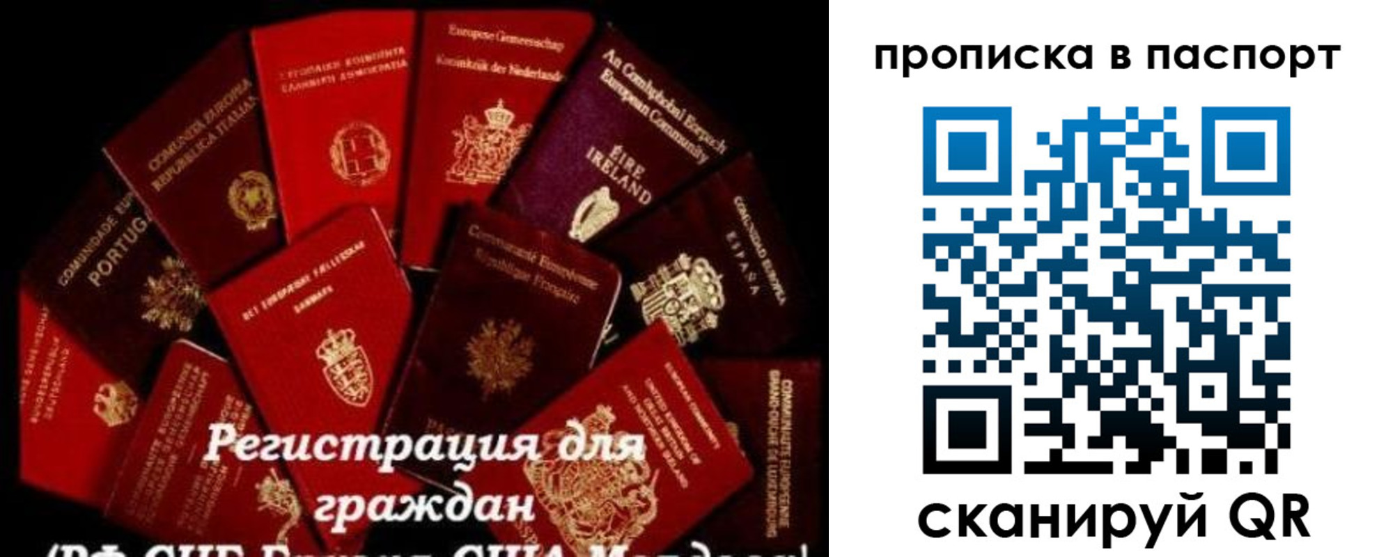 прописка 2025 в Кургане
